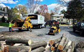 Reliable Bardonia, NY Tree Services Solutions