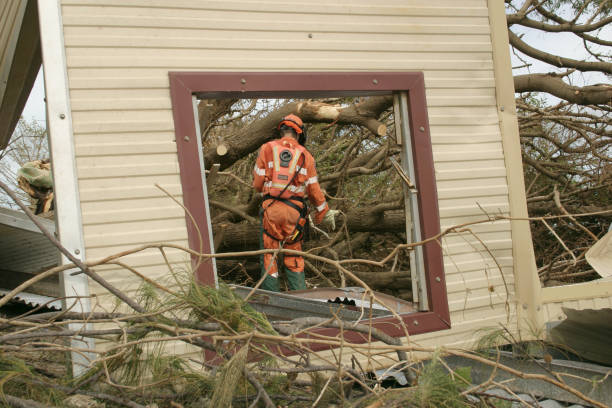 Best Tree Preservation Services  in Bardonia, NY